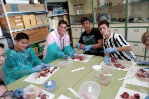 practicas de biologia2